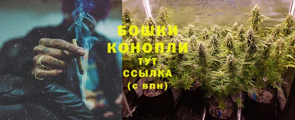 дурь Осинники