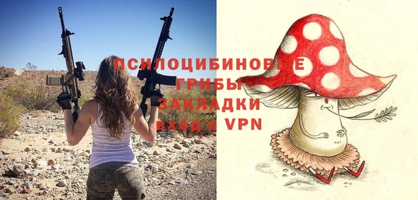 apvp Балабаново