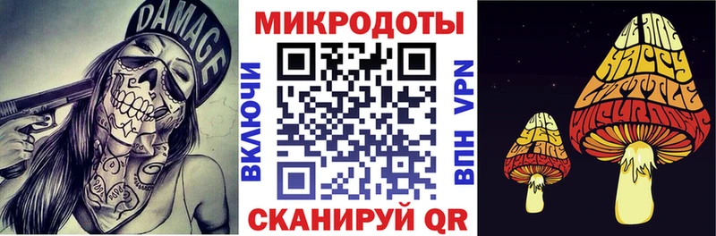 Галлюциногенные грибы Psilocybine cubensis Петухово